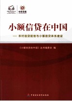 小额信贷在中国：农村信贷配给与小额信贷体系建设