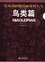 实用动植物绘画资料大全 鸟类篇