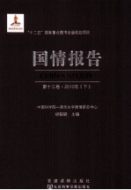 国情报告 第13卷 2010年 下