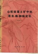 山旺硅藻土矿中的昆虫、蝎、蜘蛛化石