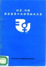 北京：迎接联合国第四次世界妇女大会