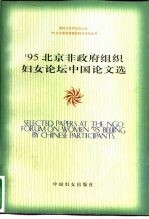 '95北京非政府组织妇女论坛中国论文选 下