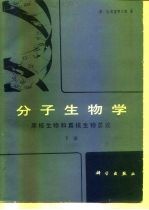 分子生物学 原核生物和真核生物总论 下