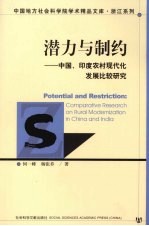 潜力与制约：中国、印度农村现代化发展比较研究