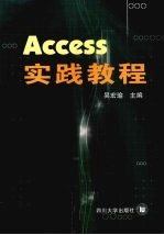 Access实践教程