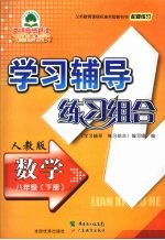 学习辅导练习组合 数学 八年级 下 人教版