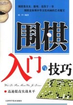 围棋入门与技巧