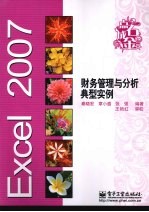 Excel 2007财务管理与分析典型实例