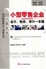 小型零售企业会计、税务、审计一本通