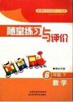 随堂练习与评价 数学 六年级 下 国标苏教