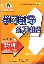 学习辅导练习组合 物理 八年级 下 人教版