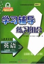 学习辅导练习组合 英语 九年级 下 人教新目标