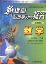 数学 六年级 下 鲁教版