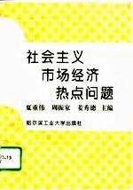 社会主义市场经济热点问题