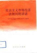 社会主义市场经济法制问题讲话