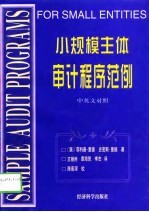 小规模主体审计程序范例 中英文对照