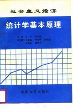 社会主义经济统计学基本原理