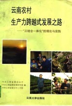 云南农村生产力跨越式发展之路 “三结合一体化”的理论与实践