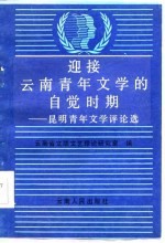 迎接云南青年文学的自觉时期-昆明青年文学评论选