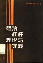 经济杠杆理论与实践