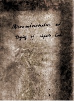 Micropulverization and Drying of Lignite