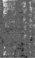 PARTICULATE NATURE OF PVC Formation