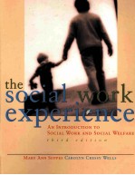 THE SOCIAL WORK EXPERIENCE AN INTRODUCTION TO SOCIAL WORK AND SOCIAL WELFARE THIRD EDITON