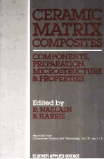 CERAMIC MATRIX COMPOSITES：CMOPONENTS，PREPARATION，MICROSTRUCTURE AND PROPERTIES