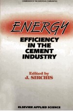 ENERGY EFFICIENCY IN THE CEMENT INDUSTRY