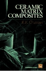 Ceramic Matrix Composites