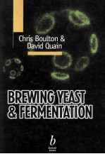 Brewing Yeast and Fermentation