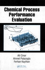 Chemical Process Performance Evaluation