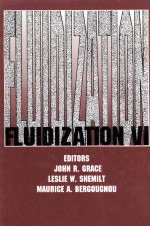 FLUIDIZATION VI