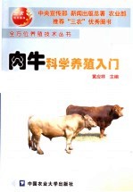 肉牛科学养殖入门