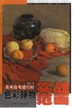 色彩静物实战范画