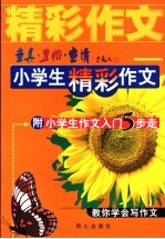 童真、童稚、童情：小学生精彩作文