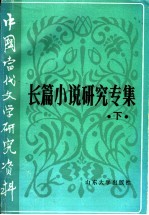 长篇小说研究专集 下