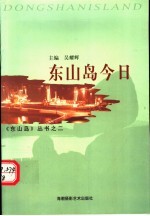 东山岛今日