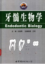 牙髓生物学