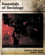 ESSENTIALS OF SOCIOLOGY