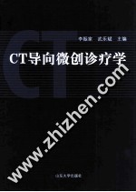 CT导向微创诊疗学