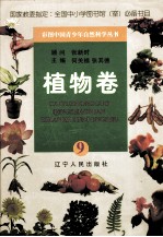 彩图中国青少年自然科学丛书 植物卷 9