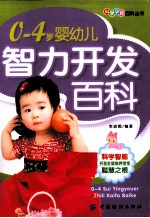 0-4岁婴幼儿智力开发百科