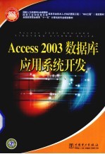 Access 2003数据库应用系统开发