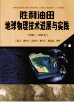 胜利油田地球物理技术进展与实践 下 2005-2011年