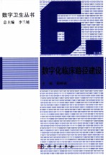 数字化临床路径建设