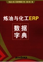 炼油与化工ERP数据字典