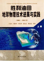 胜利油田地球物理技术进展与实践 2005-2011年