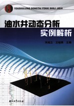 油水井动态分析实例解析