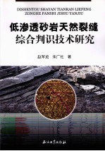 低渗透砂岩天然裂缝综合判识技术研究